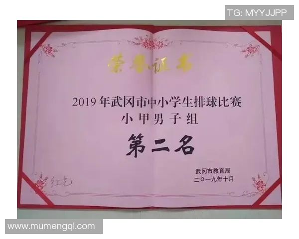 深圳排球队心理素质分析与提升策略探讨